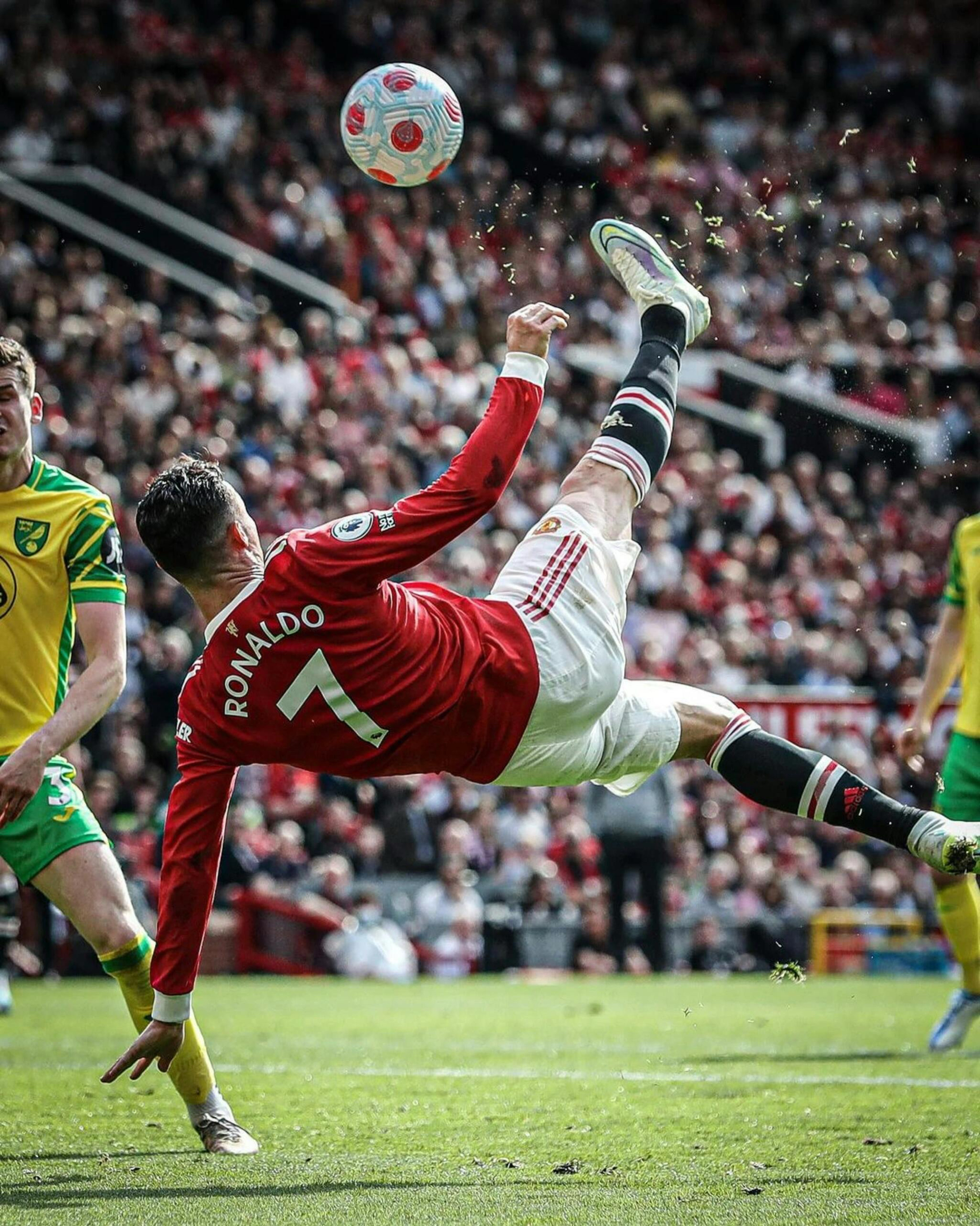 关于足球热度飙升，网友热议不断的信息