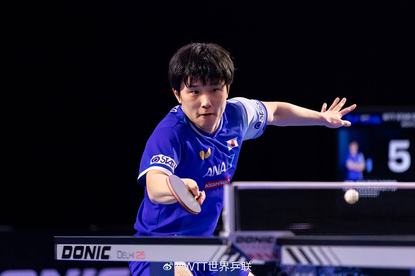 奥地利队横扫波兰队，张本智和统治全场