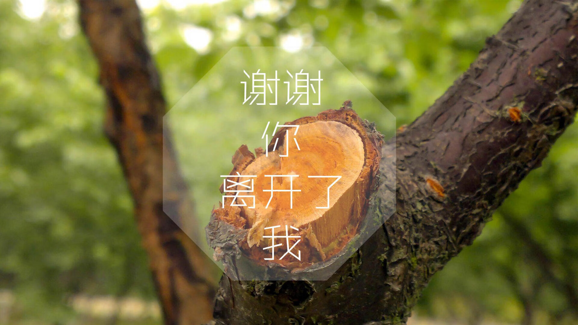 篮球史上最离奇一战，当蓝领军团广厦用东方智慧肢解金州勇士，锡安如何成为终极答案？