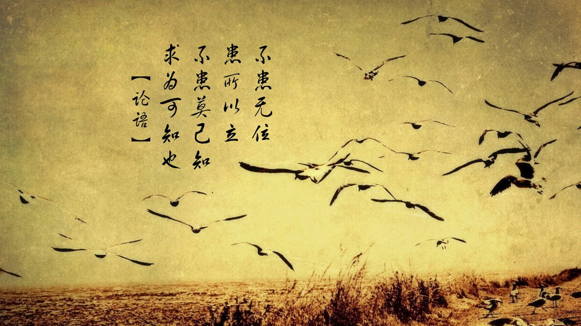 统治级数据与精妙收割，当帕尔默封神之夜遇见哥斯达黎加战术完胜