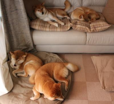 黄黑军团跨洲试炼，亚洲之光刺痛南美防线，多特蒙德友谊赛力克秘鲁，三笘薰打出统治级数据