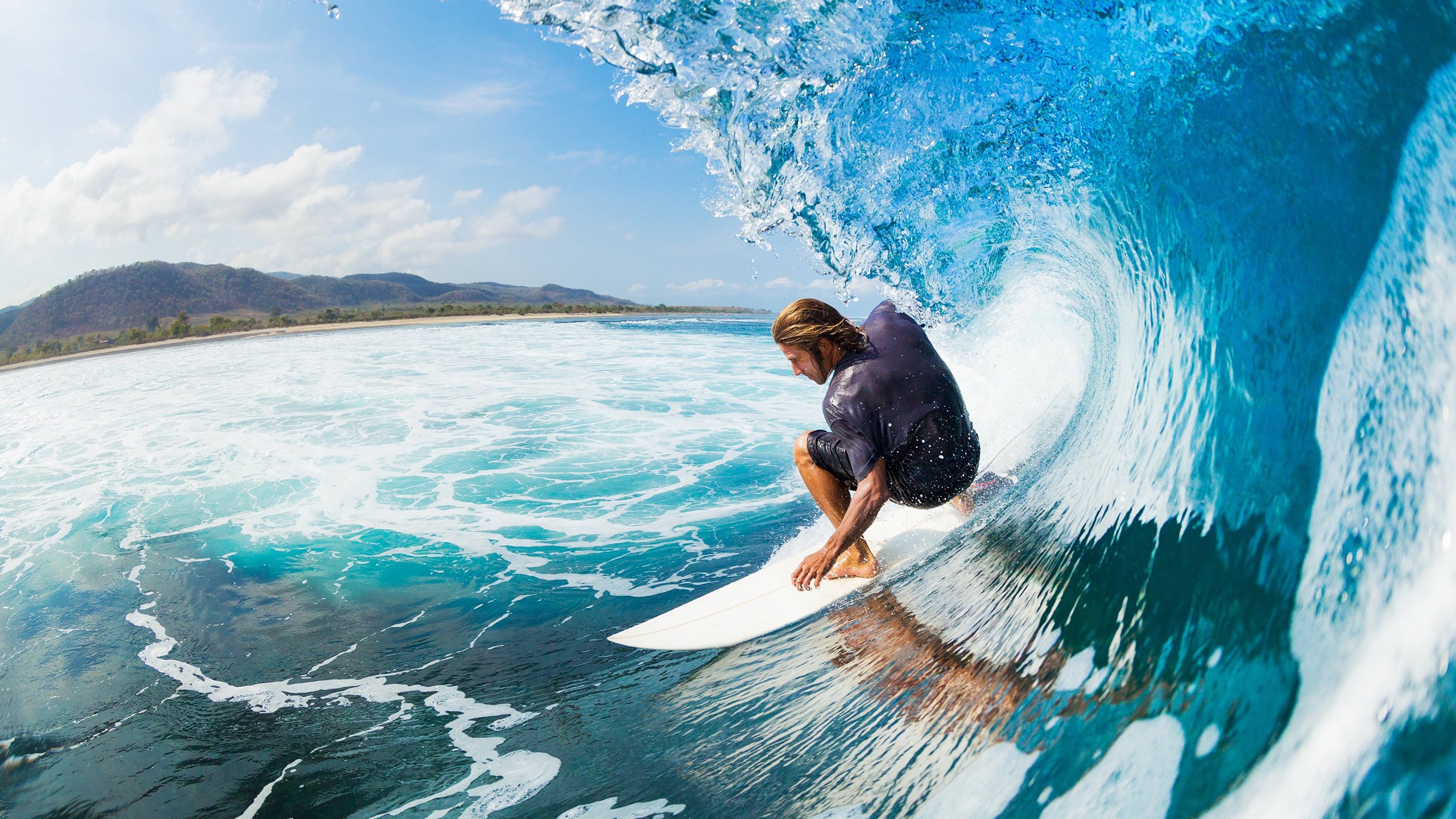 铁壁与刺矛，浙江铸就的团队长城，与布伦森那柄孤独的绝世利刃