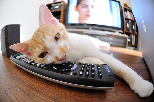 绿茵哲学之战，希腊石阵与阿根廷探戈的欧冠半决赛交响