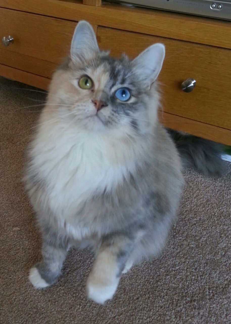 新王当立！莫兰特37分撕裂湖人防线，开拓者正面击溃卫冕冠军