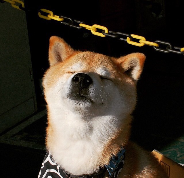 奥纳纳神扑定乾坤！丹麦铁血防线护航，强势晋级马赛