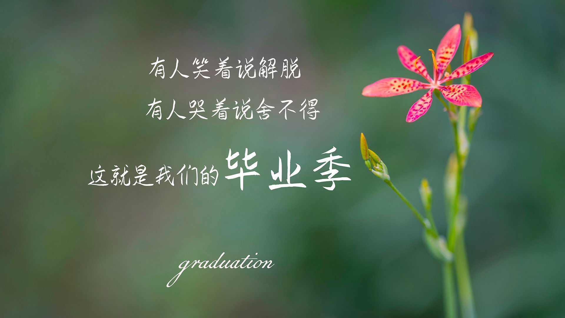 疾风破盾，莫兰特如何用攻防转换的利刃，刺穿爵士的钢铁堡垒