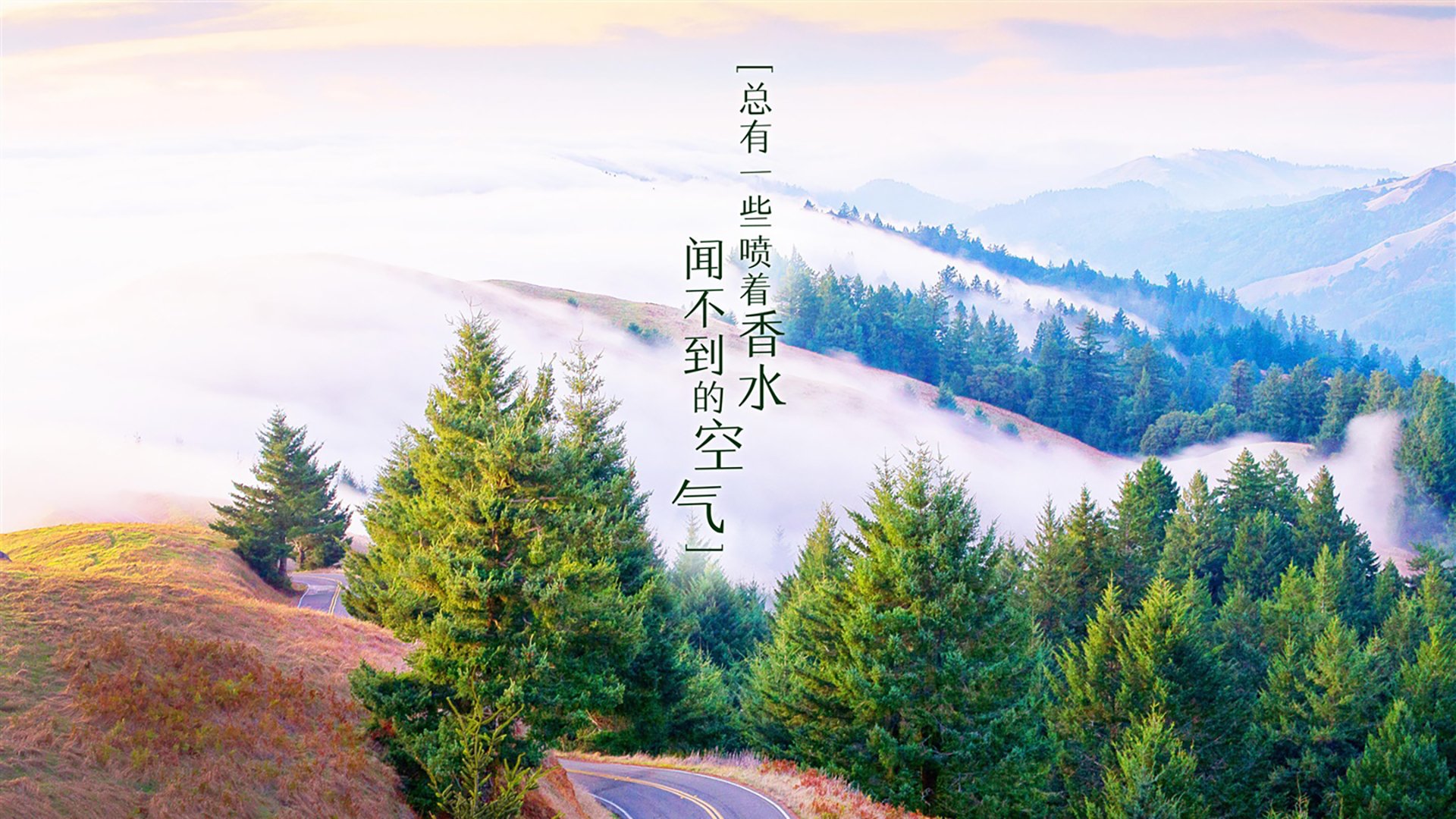 为了让文章更具唯一性和颠覆感,我将采用一种多重宇宙或命运交错的视角,将三笘薰定位为一个在关键时刻改变了历史走向的关键人物,但他的身份和动机却深藏玄机