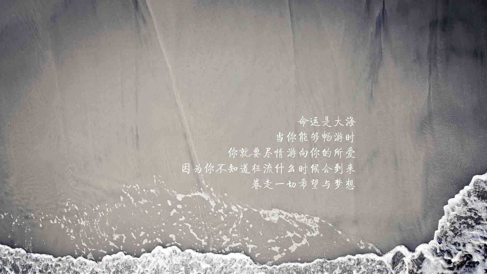 这就为您呈上一份融合了时空、战术与意志的独特解读