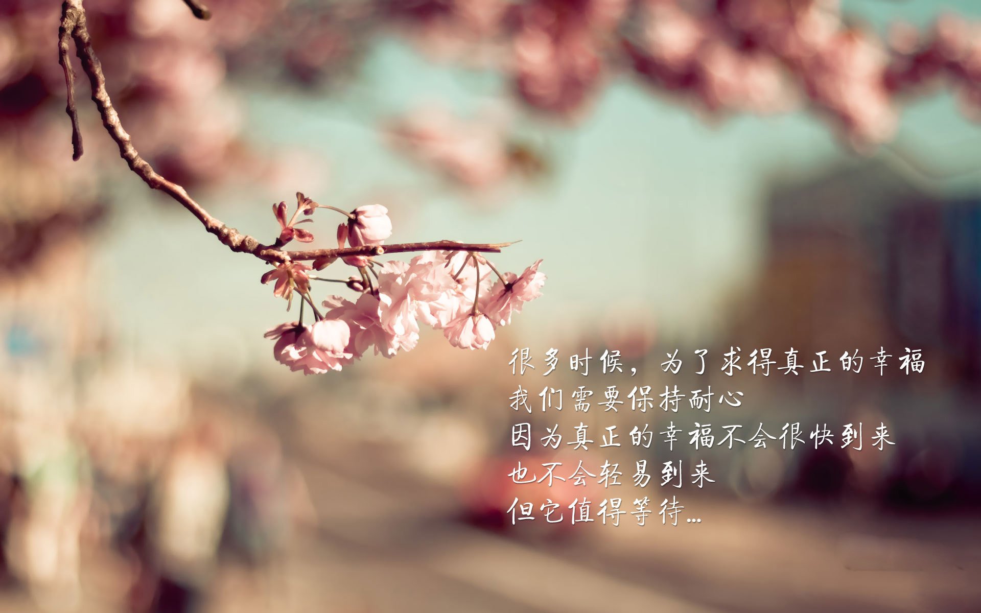 2026世界杯D组屠龙之夜,澳大利亚血洗日本,福登独舞点燃三狮军团