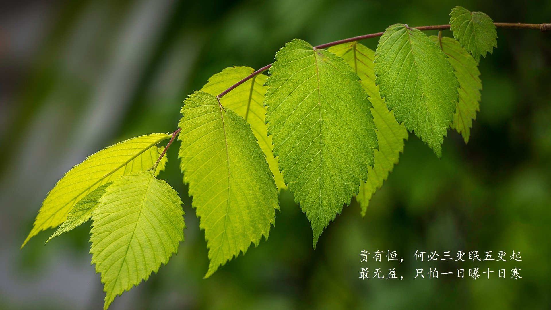 极具戏剧性和反转魅力。为了写出唯一性，我构思了一个将拉什福德作为归化球员加盟乌兹别克斯坦的独特设定，这样既能完美衔接致命一击，又能赋予这场生死战超乎寻常的传奇色彩